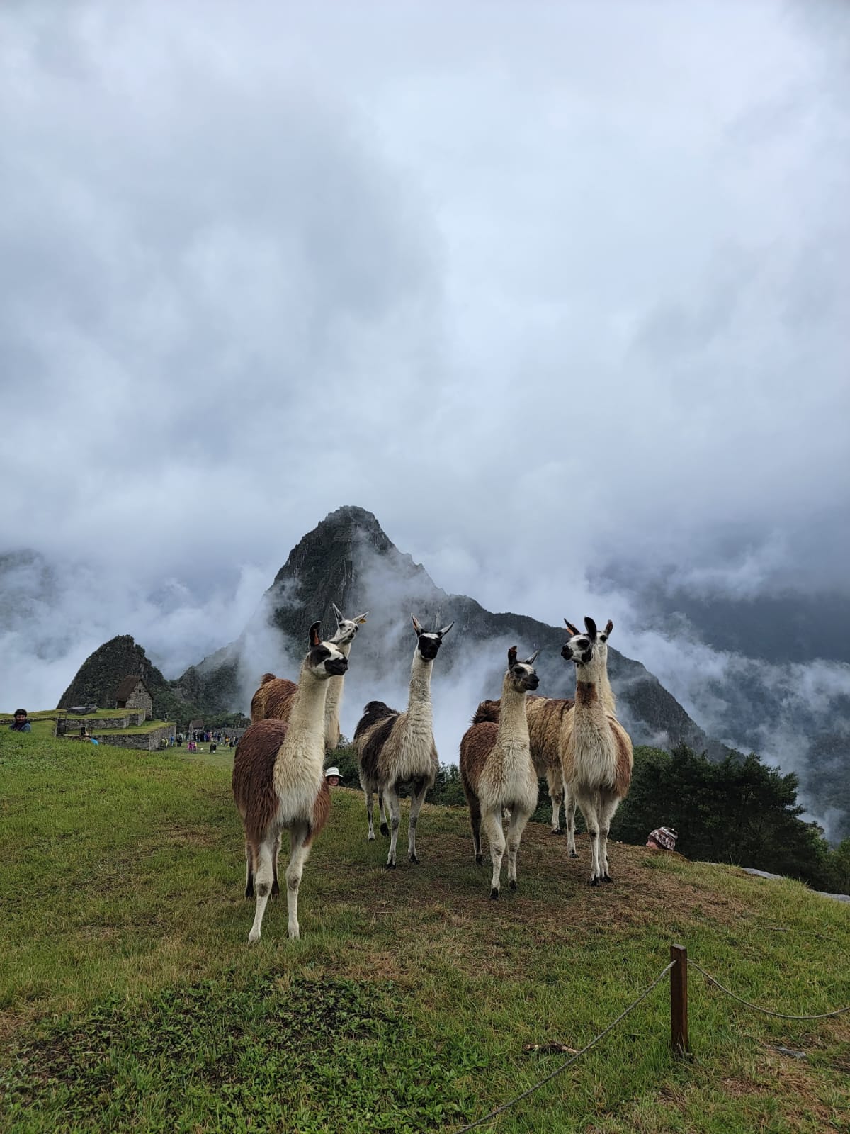 Tour Cusco Mágico mostrando el Valle Sagrado de los Incas
